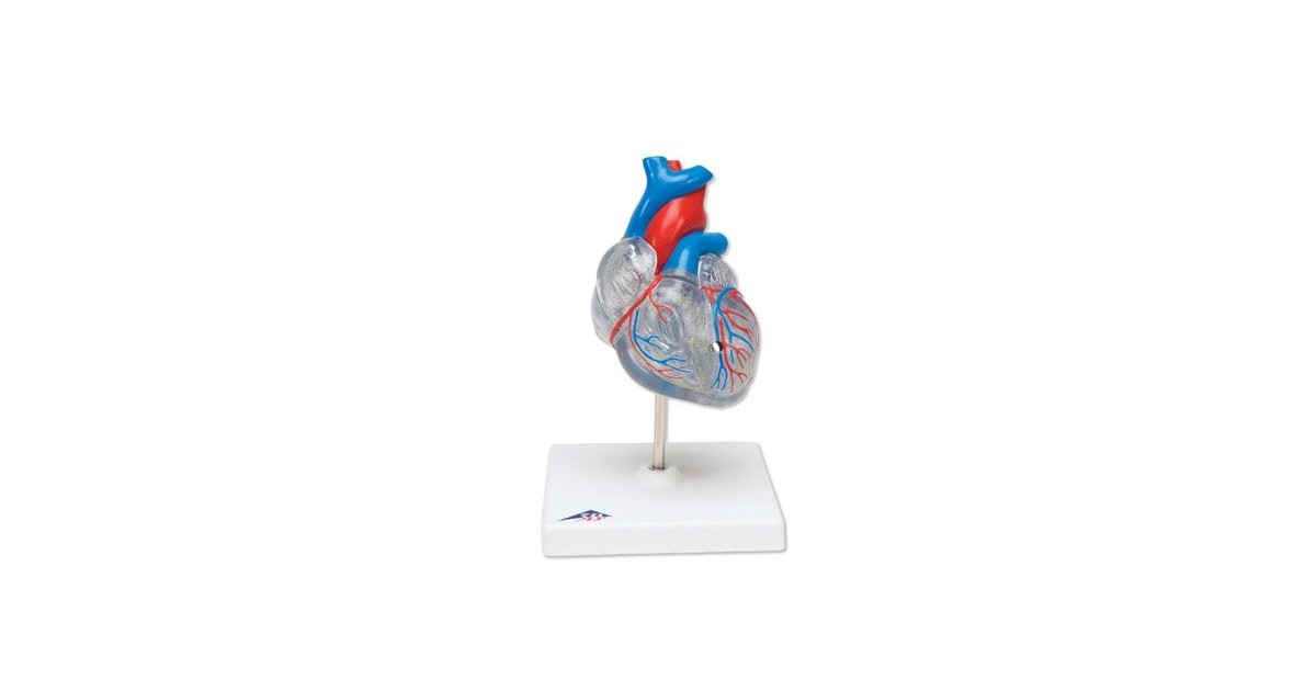 Πρόπλασμα καρδιάς -Συσκευές λεμφοιδήματος - Πελματογράφος -Προπλάσματα